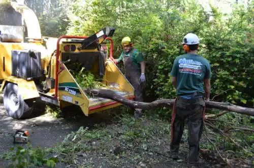 tree services Portola